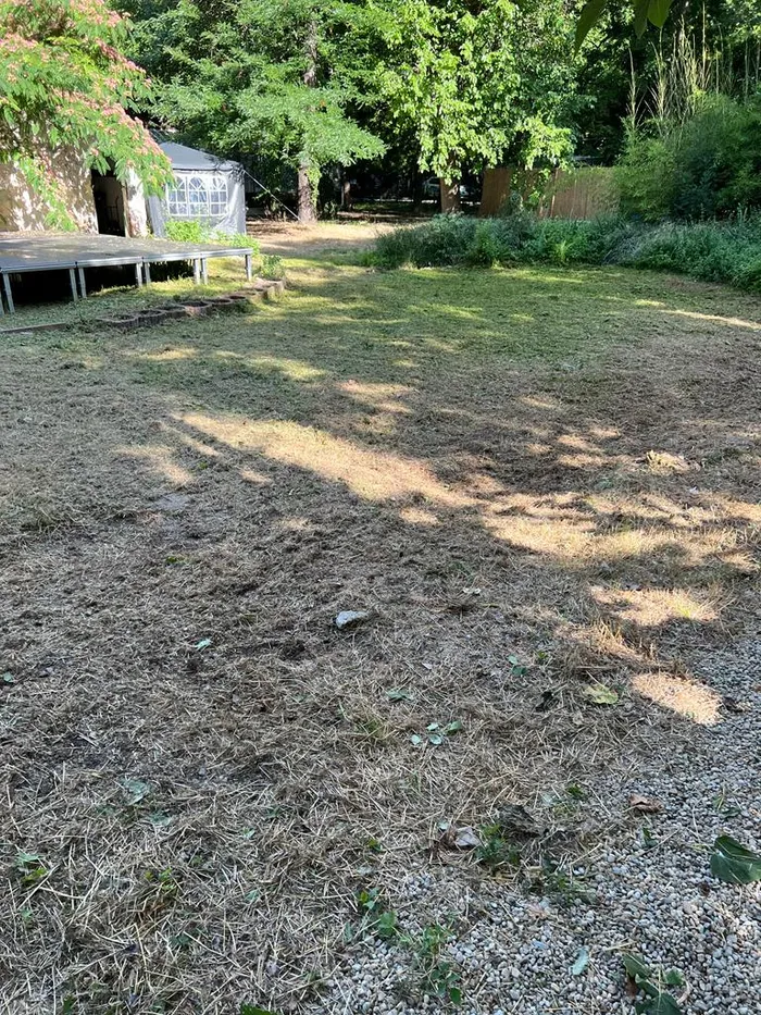 Teren dupa erbicidarea facuta de echipa taieri copaci 