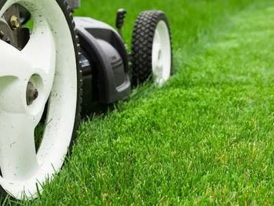 Roata unei masini de tuns iarba, in prim plan pe gazon verde
