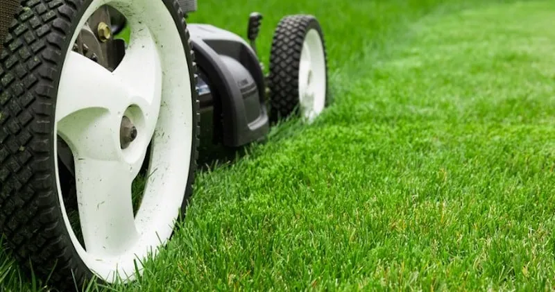 Roata unei masini de tuns iarba, in prim plan pe gazon verde