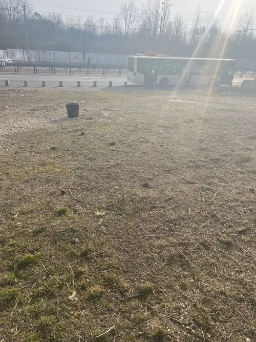 Teren curatat si tuns, cu o statie de autobuz in fundal